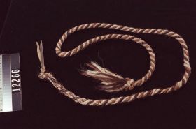 Image representing Shank.