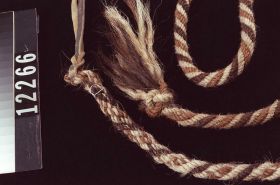 Image representing Shank.