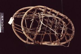 Image representing Snowshoe.