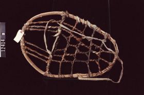 Image representing Snowshoe.