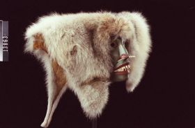 Image représentant Mask