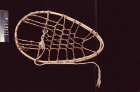 Image representing Snowshoe.
