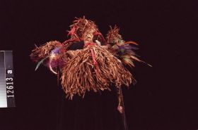 Image representing Headdress.