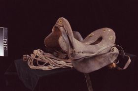Image representing Saddle.