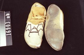 Image representing Moccasin.