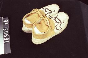 Image representing Moccasin.