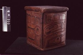 Image representing Chest.