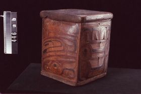 Image representing Chest.