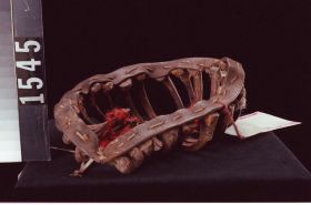 Image representing Crown.