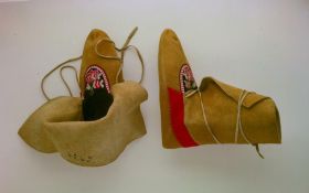 Image representing Moccasin.