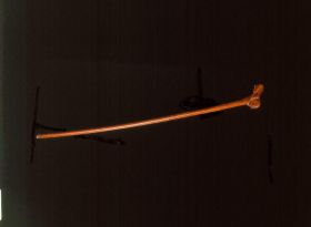 Image representing Cane.