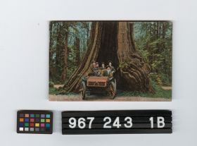 Image representing Postcard.