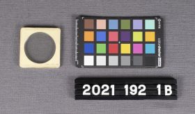 Image representing Coin, Replica Gold.