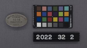 Image representing Badge, Identification.