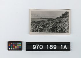 Image representing Print, Photographic.