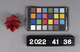 Image représentant Badge, Cap