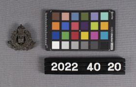 Image representing Badge, Collar.