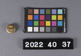 Image representing Button, Merchant Navy.