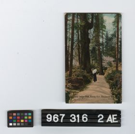 Image representing Postcard.