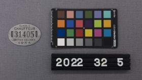 Image representing Badge, Identification.