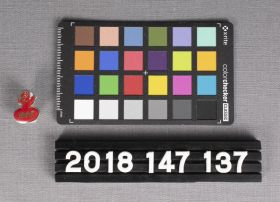 Image representing Pin, Lapel.