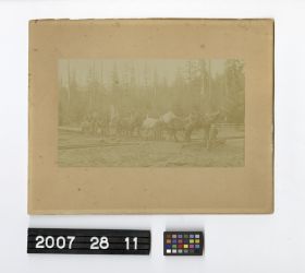 Image representing Print, Photographic.