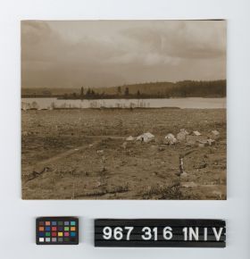 Image representing Print, Photographic.