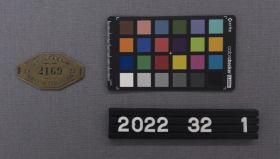 Image representing Badge, Identification.