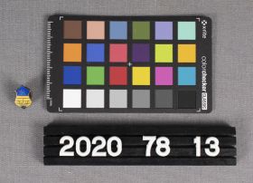 Image representing Pin, Lapel.