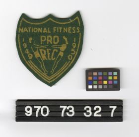 Image representing Badge, Insignia.