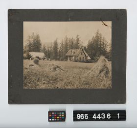 Image representing Print, Photographic.