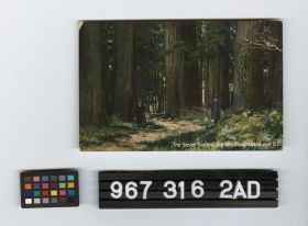 Image representing Postcard.