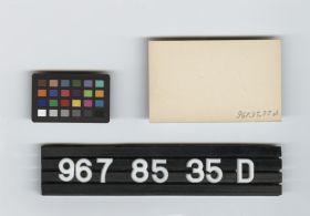 Image representing Print, Photographic.