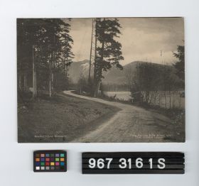 Image representing Print, Photographic.