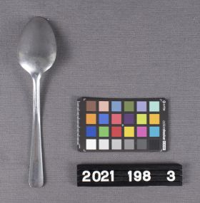 Image representing Spoon, Dinner.