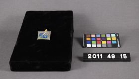 Image representing Pin.