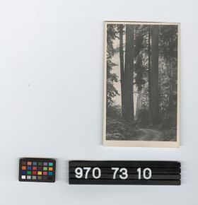 Image representing Postcard.