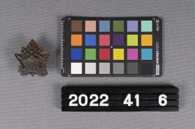 Image representing Badge, Cap.