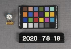 Image representing Pin, Lapel.