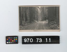 Image representing Postcard.