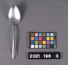 Image representing Spoon, Dinner.