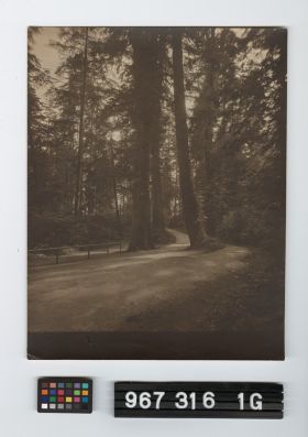 Image representing Print, Photographic.