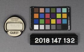 Image representing Button, Pinback.