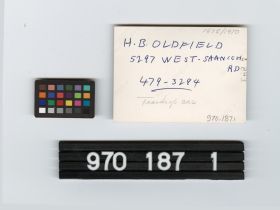 Image representing Print, Photographic.