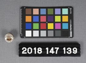 Image representing Lapel Pin.