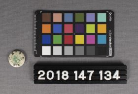 Image representing Button, Pinback.