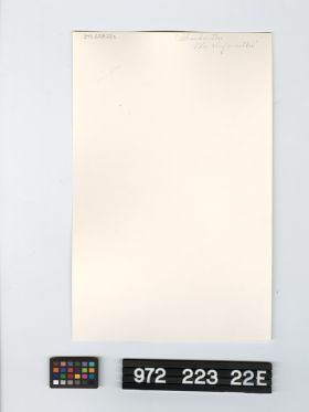 Image representing Prints, Photographic.