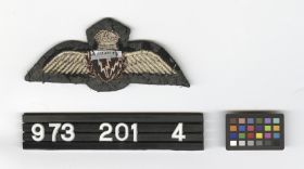 Image representing Badge, Military.