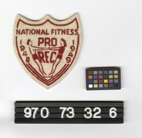 Image representing Badge, Insignia.