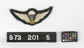 Image representing Badge, Military.